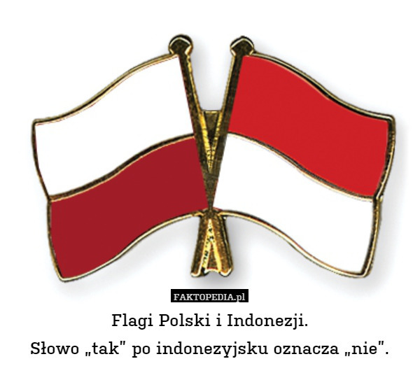 Flagi Polski i Indonezji.
Słowo „tak” po indonezyjsku oznacza „nie”. 