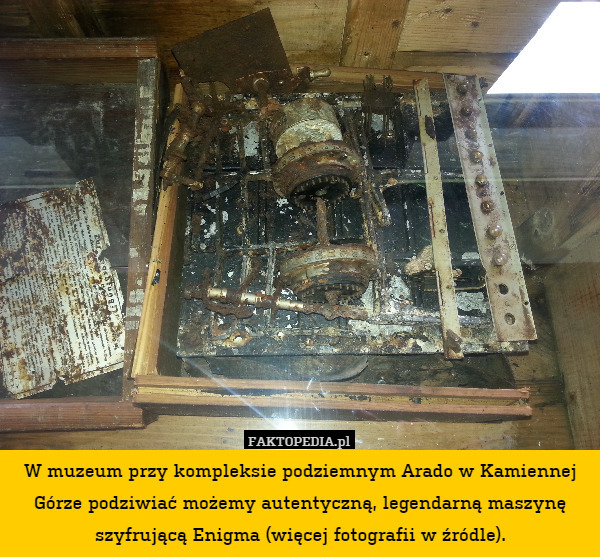 W muzeum przy kompleksie podziemnym Arado w Kamiennej Górze podziwiać możemy autentyczną, legendarną maszynę szyfrującą Enigma (więcej fotografii w źródle). 