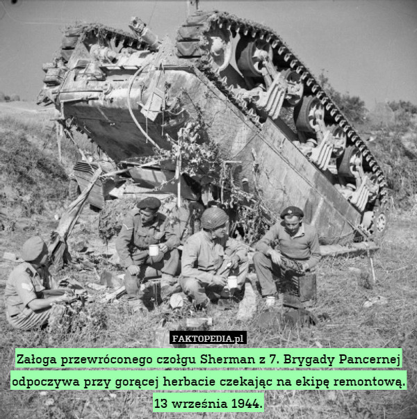 Załoga przewróconego czołgu Sherman z 7. Brygady Pancernej odpoczywa przy gorącej herbacie czekając na ekipę remontową.
13 września 1944. 