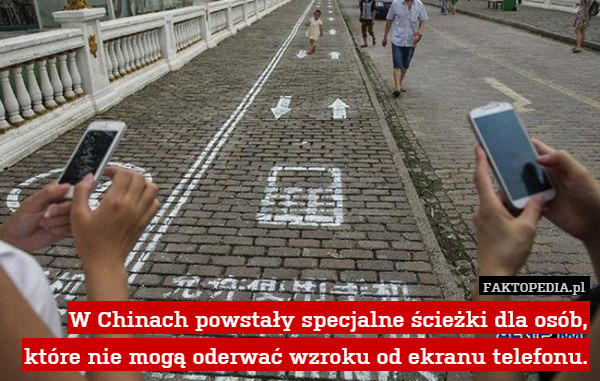 W Chinach powstały specjalne ścieżki dla osób, które nie mogą oderwać wzroku od ekranu telefonu. 