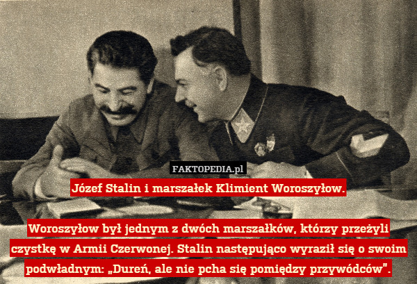 Józef Stalin i marszałek Klimient Woroszyłow.

Woroszyłow był jednym z dwóch marszałków, którzy przeżyli czystkę w Armii Czerwonej. Stalin następująco wyraził się o swoim podwładnym: „Dureń, ale nie pcha się pomiędzy przywódców”. 