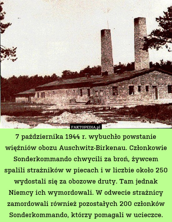 7 października 1944 r. wybuchło powstanie więźniów obozu Auschwitz-Birkenau. Członkowie Sonderkommando chwycili za broń, żywcem spalili strażników w piecach i w liczbie około 250 wydostali się za obozowe druty. Tam jednak Niemcy ich wymordowali. W odwecie strażnicy zamordowali również pozostałych 200 członków Sonderkommando, którzy pomagali w ucieczce. 