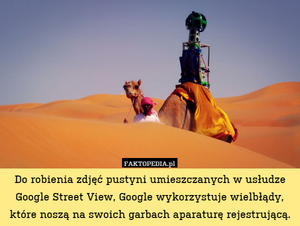 Do robienia zdjęć pustyni umieszczanych w usłudze Google Street View, Google wykorzystuje wielbłądy, które noszą na swoich garbach aparaturę rejestrującą. 