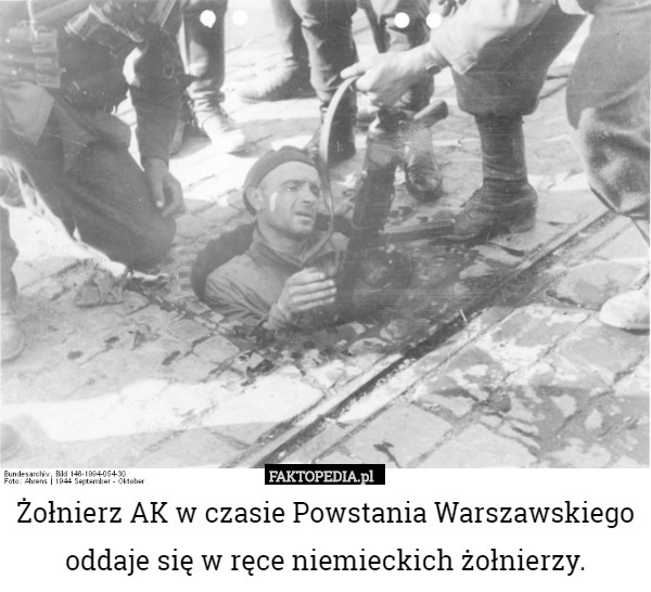 Żołnierz AK w czasie Powstania Warszawskiego oddaje się w ręce niemieckich żołnierzy. 