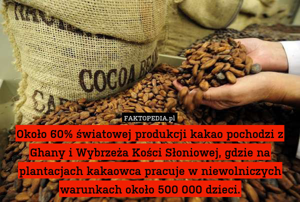 Około 60% światowej produkcji kakao pochodzi z Ghany i Wybrzeża Kości Słoniowej, gdzie na plantacjach kakaowca pracuje w niewolniczych warunkach około 500 000 dzieci. 
