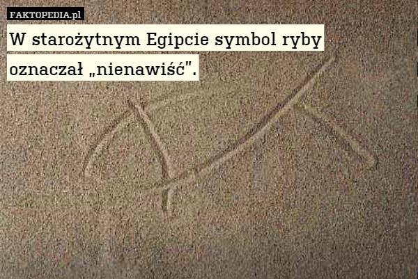W starożytnym Egipcie symbol ryby
oznaczał „nienawiść”. 