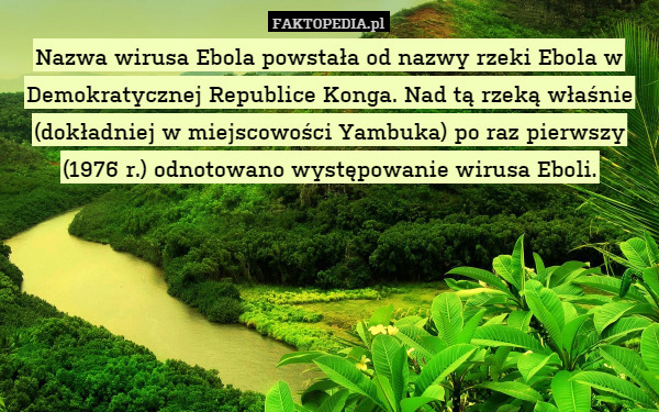 Nazwa wirusa Ebola powstała od nazwy rzeki Ebola w Demokratycznej Republice Konga. Nad tą rzeką właśnie (dokładniej w miejscowości Yambuka) po raz pierwszy (1976 r.) odnotowano występowanie wirusa Eboli. 