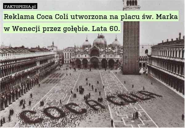 Reklama Coca Coli utworzona na placu św. Marka w Wenecji przez gołębie. Lata 60. 