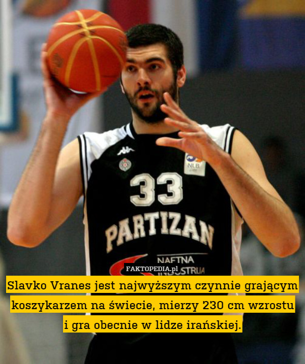 Slavko Vranes jest najwyższym czynnie grającym koszykarzem na świecie, mierzy 230 cm wzrostu
i gra obecnie w lidze irańskiej. 