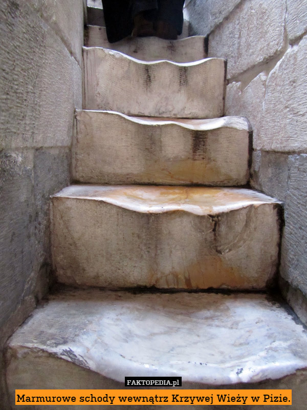 Marmurowe schody wewnątrz Krzywej Wieży w Pizie. 