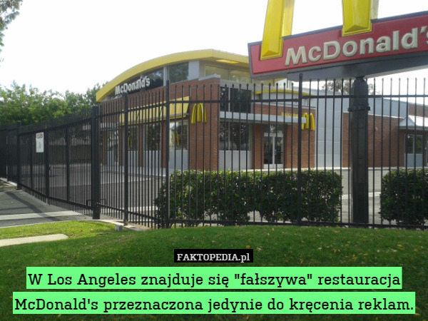 W Los Angeles znajduje się "fałszywa" restauracja McDonald's przeznaczona jedynie do kręcenia reklam. 