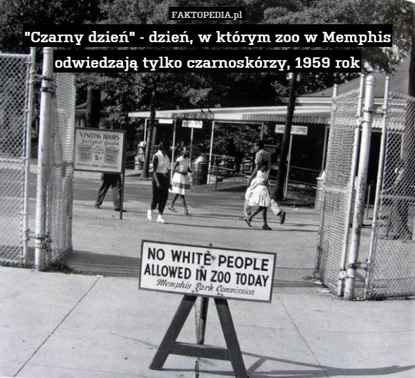 "Czarny dzień" - dzień, w którym zoo w Memphis odwiedzają tylko czarnoskórzy, 1959 rok 