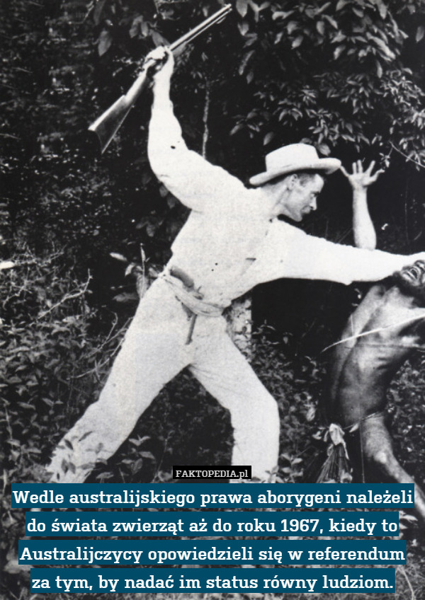 Wedle australijskiego prawa aborygeni należeli do świata zwierząt aż do roku 1967, kiedy to Australijczycy opowiedzieli się w referendum
za tym, by nadać im status równy ludziom. 