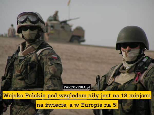 Wojsko Polskie pod względem siły jest na 18 miejscu na świecie, a w Europie na 5! 