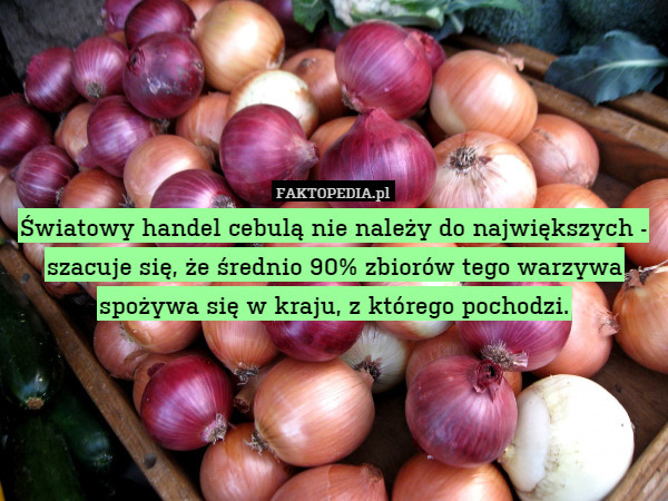 Światowy handel cebulą nie należy do największych - szacuje się, że średnio 90% zbiorów tego warzywa spożywa się w kraju, z którego pochodzi. 