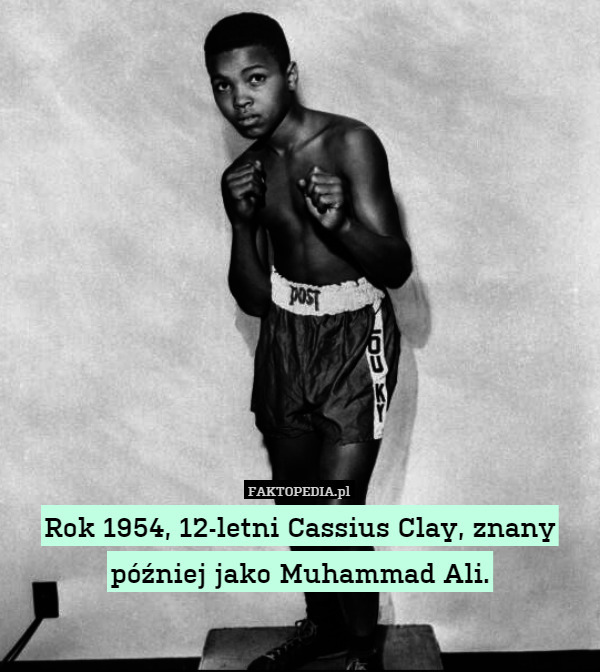 Rok 1954, 12-letni Cassius Clay, znany później jako Muhammad Ali. 