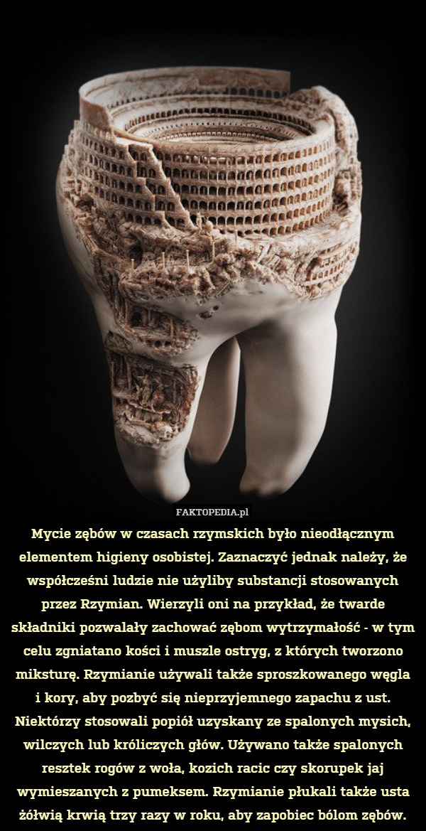 Mycie zębów w czasach rzymskich było nieodłącznym elementem higieny osobistej. Zaznaczyć jednak należy, że współcześni ludzie nie użyliby substancji stosowanych przez Rzymian. Wierzyli oni na przykład, że twarde składniki pozwalały zachować zębom wytrzymałość - w tym celu zgniatano kości i muszle ostryg, z których tworzono miksturę. Rzymianie używali także sproszkowanego węgla
i kory, aby pozbyć się nieprzyjemnego zapachu z ust. Niektórzy stosowali popiół uzyskany ze spalonych mysich, wilczych lub króliczych głów. Używano także spalonych resztek rogów z woła, kozich racic czy skorupek jaj wymieszanych z pumeksem. Rzymianie płukali także usta żółwią krwią trzy razy w roku, aby zapobiec bólom zębów. 