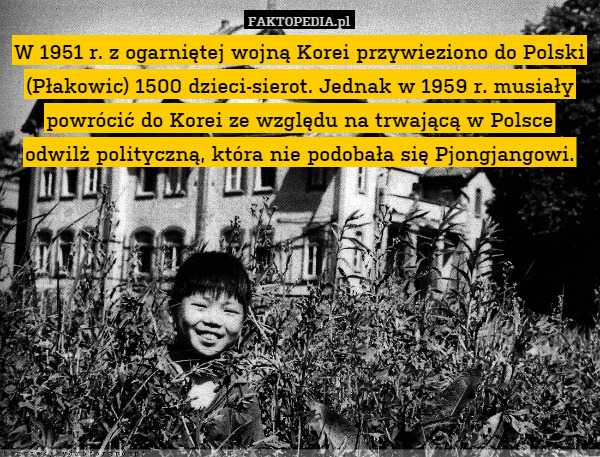 W 1951 r. z ogarniętej wojną Korei przywieziono do Polski (Płakowic) 1500 dzieci-sierot. Jednak w 1959 r. musiały powrócić do Korei ze względu na trwającą w Polsce odwilż polityczną, która nie podobała się Pjongjangowi. 
