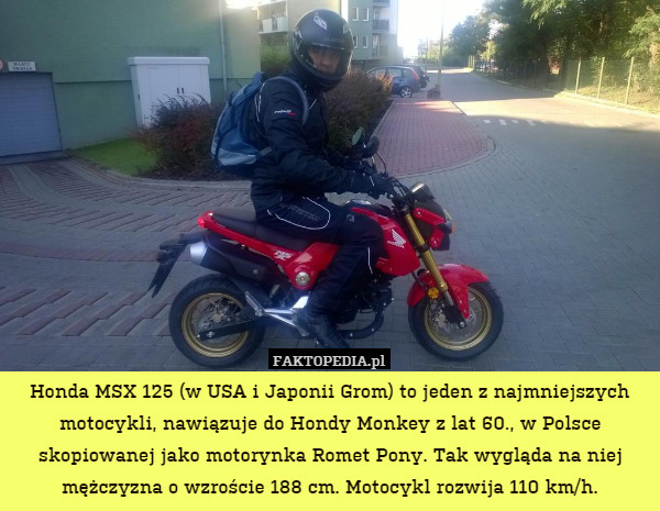 Honda MSX 125 (w USA i Japonii Grom) to jeden z najmniejszych motocykli, nawiązuje do Hondy Monkey z lat 60., w Polsce skopiowanej jako motorynka Romet Pony. Tak wygląda na niej mężczyzna o wzroście 188 cm. Motocykl rozwija 110 km/h. 