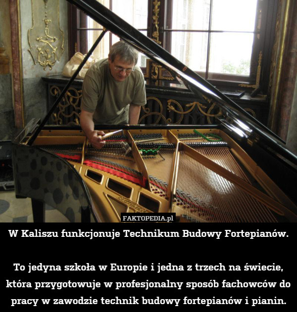 W Kaliszu funkcjonuje Technikum Budowy Fortepianów.

To jedyna szkoła w Europie i jedna z trzech na świecie, która przygotowuje w profesjonalny sposób fachowców do pracy w zawodzie technik budowy fortepianów i pianin. 