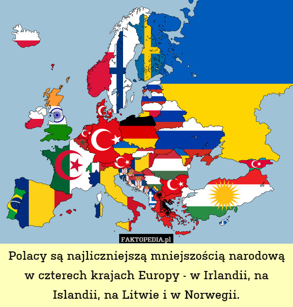 Polacy są najliczniejszą mniejszością narodową w czterech krajach Europy - w Irlandii, na Islandii, na Litwie i w Norwegii. 