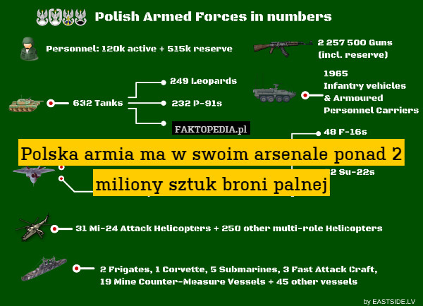 Polska armia ma w swoim arsenale ponad 2 miliony sztuk broni palnej 