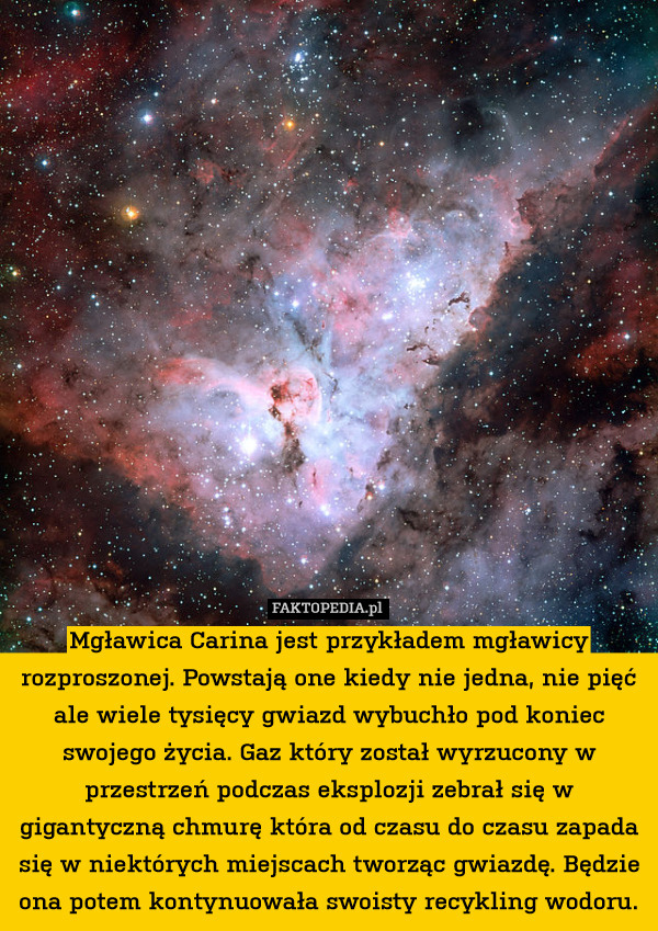 Mgławica Carina jest przykładem mgławicy rozproszonej. Powstają one kiedy nie jedna, nie pięć ale wiele tysięcy gwiazd wybuchło pod koniec swojego życia. Gaz który został wyrzucony w przestrzeń podczas eksplozji zebrał się w gigantyczną chmurę która od czasu do czasu zapada się w niektórych miejscach tworząc gwiazdę. Będzie ona potem kontynuowała swoisty recykling wodoru. 