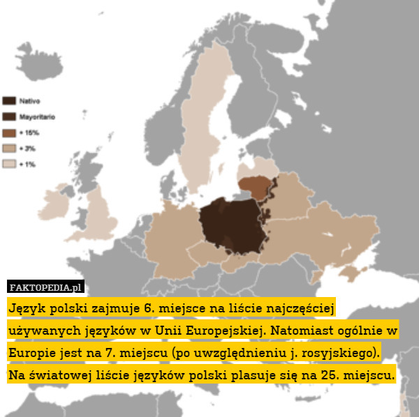 Język polski zajmuje 6. miejsce na liście najczęściej używanych języków w Unii Europejskiej. Natomiast ogólnie w Europie jest na 7. miejscu (po uwzględnieniu j. rosyjskiego).
Na światowej liście języków polski plasuje się na 25. miejscu. 