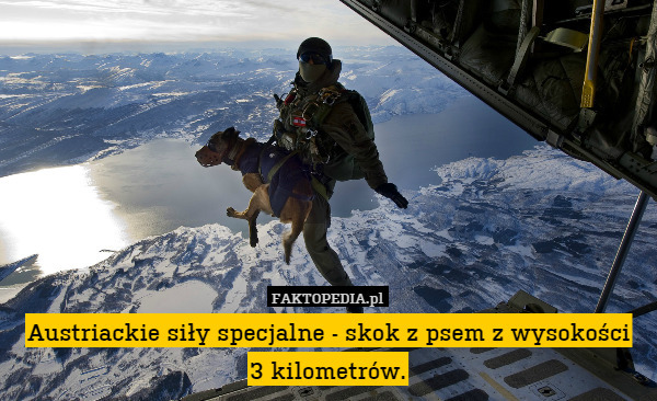 Austriackie siły specjalne - skok z psem z wysokości
3 kilometrów. 