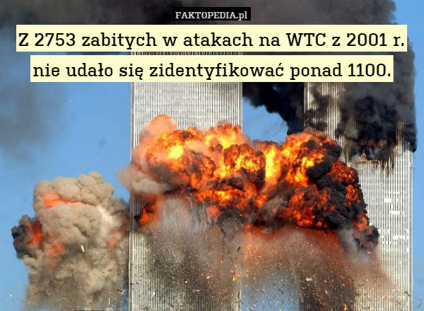 Z 2753 zabitych w atakach na WTC z 2001 r. nie udało się zidentyfikować ponad 1100. 