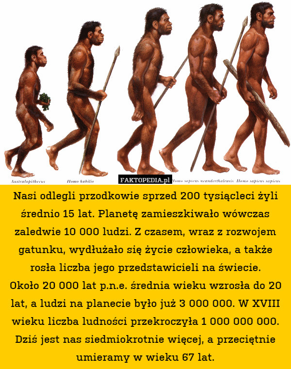 Nasi odlegli przodkowie sprzed 200 tysiącleci żyli średnio 15 lat. Planetę zamieszkiwało wówczas zaledwie 10 000 ludzi. Z czasem, wraz z rozwojem gatunku, wydłużało się życie człowieka, a także rosła liczba jego przedstawicieli na świecie.
Około 20 000 lat p.n.e. średnia wieku wzrosła do 20 lat, a ludzi na planecie było już 3 000 000. W XVIII wieku liczba ludności przekroczyła 1 000 000 000. Dziś jest nas siedmiokrotnie więcej, a przeciętnie umieramy w wieku 67 lat. 
