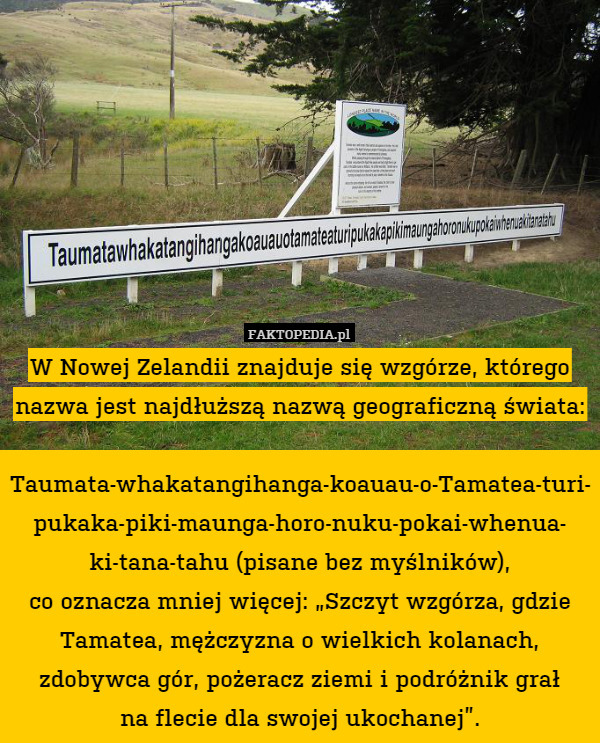 W Nowej Zelandii znajduje się wzgórze, którego nazwa jest najdłuższą nazwą geograficzną świata:

Taumata-whakatangihanga-koauau-o-Tamatea-turi-
pukaka-piki-maunga-horo-nuku-pokai-whenua-
ki-tana-tahu (pisane bez myślników),
co oznacza mniej więcej: „Szczyt wzgórza, gdzie Tamatea, mężczyzna o wielkich kolanach, zdobywca gór, pożeracz ziemi i podróżnik grał
na flecie dla swojej ukochanej”. 