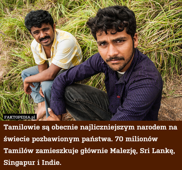 Tamilowie są obecnie najliczniejszym narodem na świecie pozbawionym państwa. 70 milionów Tamilów zamieszkuje głównie Malezję, Sri Lankę, Singapur i Indie. 