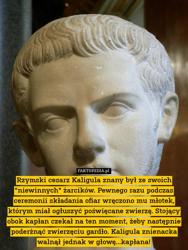 Rzymski cesarz Kaligula znany był ze swoich "niewinnych" żarcików. Pewnego razu podczas ceremonii składania ofiar wręczono mu młotek, którym miał ogłuszyć poświęcane zwierzę. Stojący obok kapłan czekał na ten moment, żeby następnie poderżnąć zwierzęciu gardło. Kaligula znienacka walnął jednak w głowę...kapłana! 