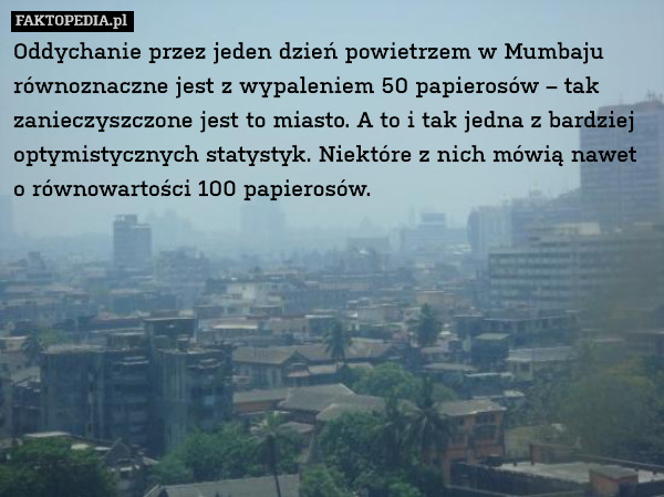 Oddychanie przez jeden dzień powietrzem w Mumbaju równoznaczne jest z wypaleniem 50 papierosów – tak zanieczyszczone jest to miasto. A to i tak jedna z bardziej optymistycznych statystyk. Niektóre z nich mówią nawet o równowartości 100 papierosów. 