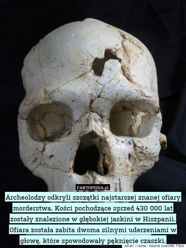 Archeolodzy odkryli szczątki najstarszej znanej ofiary morderstwa. Kości pochodzące sprzed 430 000 lat zostały znalezione w głębokiej jaskini w Hiszpanii. Ofiara została zabita dwoma silnymi uderzeniami w głowę, które spowodowały pęknięcie czaszki. 