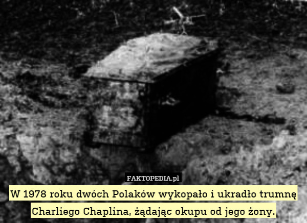 W 1978 roku dwóch Polaków wykopało i ukradło trumnę Charliego Chaplina, żądając okupu od jego żony. 