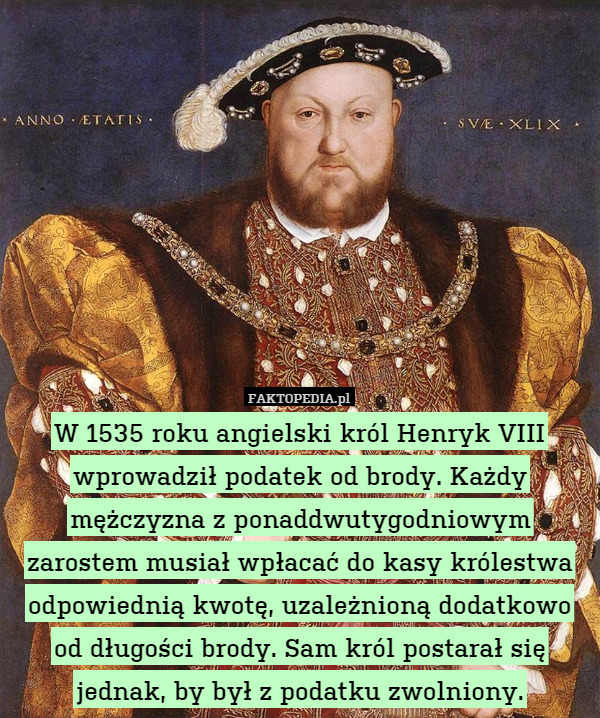 W 1535 roku angielski król Henryk VIII wprowadził podatek od brody. Każdy mężczyzna z ponaddwutygodniowym zarostem musiał wpłacać do kasy królestwa odpowiednią kwotę, uzależnioną dodatkowo od długości brody. Sam król postarał się jednak, by był z podatku zwolniony. 