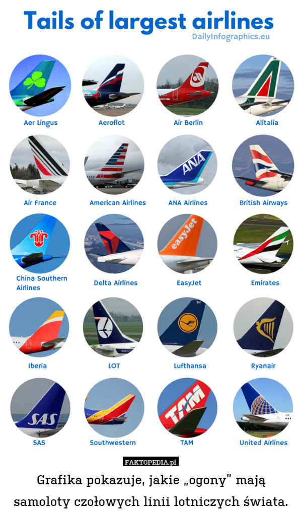 Grafika pokazuje, jakie „ogony” mają samoloty czołowych linii lotniczych świata. 