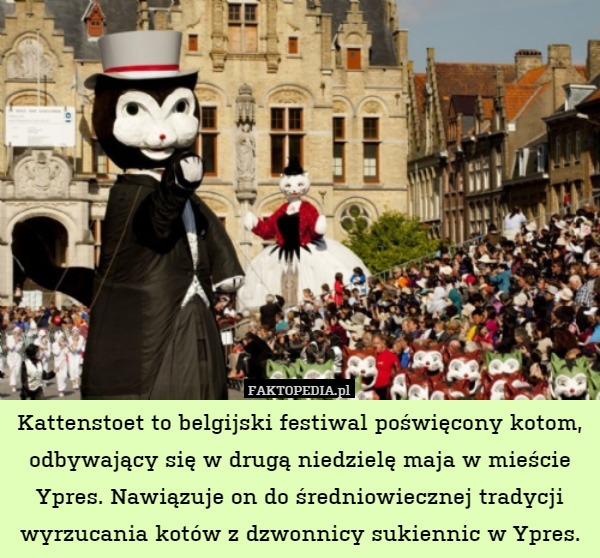 Kattenstoet to belgijski festiwal poświęcony kotom, odbywający się w drugą niedzielę maja w mieście Ypres. Nawiązuje on do średniowiecznej tradycji wyrzucania kotów z dzwonnicy sukiennic w Ypres. 