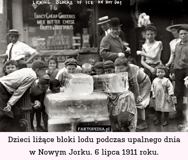 Dzieci liżące bloki lodu podczas upalnego dnia
w Nowym Jorku. 6 lipca 1911 roku. 