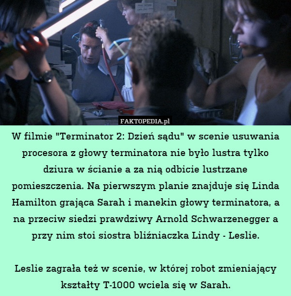 W filmie "Terminator 2: Dzień sądu" w scenie usuwania procesora z głowy terminatora nie było lustra tylko dziura w ścianie a za nią odbicie lustrzane pomieszczenia. Na pierwszym planie znajduje się Linda Hamilton grająca Sarah i manekin głowy terminatora, a na przeciw siedzi prawdziwy Arnold Schwarzenegger a przy nim stoi siostra bliźniaczka Lindy - Leslie.

Leslie zagrała też w scenie, w której robot zmieniający kształty T-1000 wciela się w Sarah. 