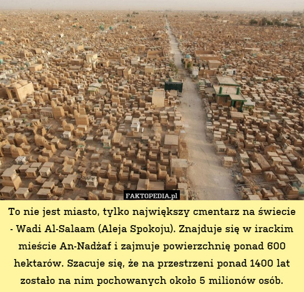 To nie jest miasto, tylko największy cmentarz na świecie - Wadi Al-Salaam (Aleja Spokoju). Znajduje się w irackim mieście An-Nadżaf i zajmuje powierzchnię ponad 600 hektarów. Szacuje się, że na przestrzeni ponad 1400 lat zostało na nim pochowanych około 5 milionów osób. 