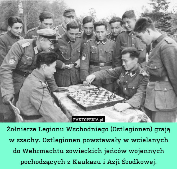 Żołnierze Legionu Wschodniego (Ostlegionen) grają w szachy. Ostlegionen powstawały w wcielanych
do Wehrmachtu sowieckich jeńców wojennych pochodzących z Kaukazu i Azji Środkowej. 