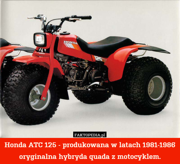 Honda ATC 125 - produkowana w latach 1981-1986 oryginalna hybryda quada z motocyklem. 
