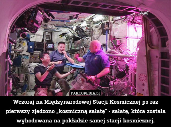 Wczoraj na Międzynarodowej Stacji Kosmicznej po raz pierwszy zjedzono „kosmiczną sałatę” - sałatę, która została wyhodowana na pokładzie samej stacji kosmicznej. 