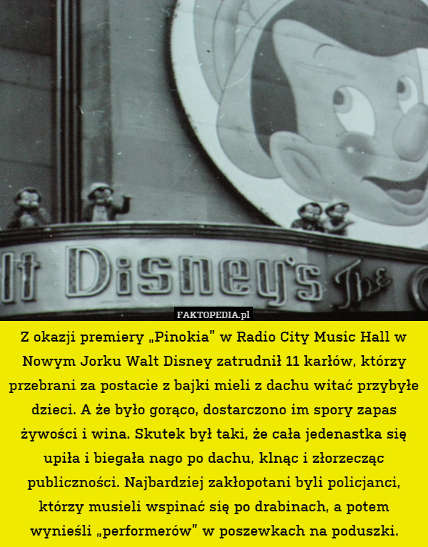 Z okazji premiery „Pinokia” w Radio City Music Hall w Nowym Jorku Walt Disney zatrudnił 11 karłów, którzy przebrani za postacie z bajki mieli z dachu witać przybyłe dzieci. A że było gorąco, dostarczono im spory zapas żywości i wina. Skutek był taki, że cała jedenastka się upiła i biegała nago po dachu, klnąc i złorzecząc publiczności. Najbardziej zakłopotani byli policjanci, którzy musieli wspinać się po drabinach, a potem wynieśli „performerów” w poszewkach na poduszki. 