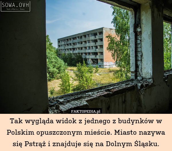 Tak wygląda widok z jednego z budynków w Polskim opuszczonym mieście. Miasto nazywa się Pstrąż i znajduje się na Dolnym Śląsku. 