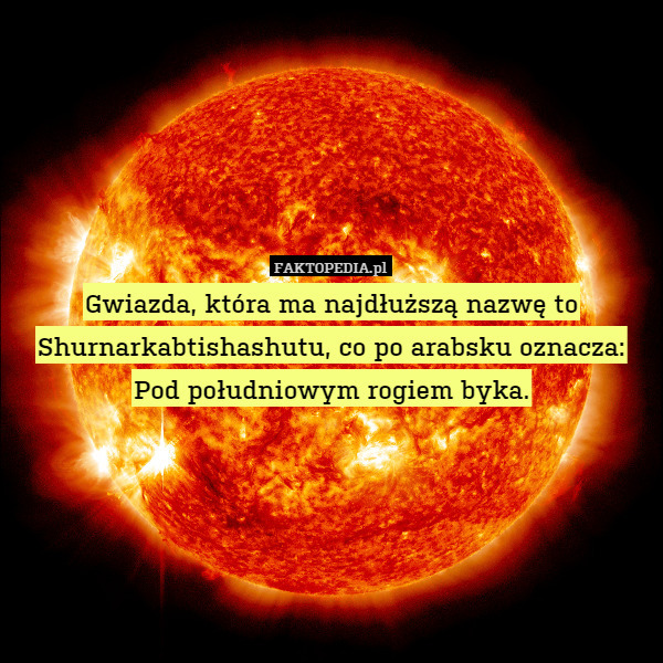 Gwiazda, która ma najdłuższą nazwę to Shurnarkabtishashutu, co po arabsku oznacza: Pod południowym rogiem byka. 