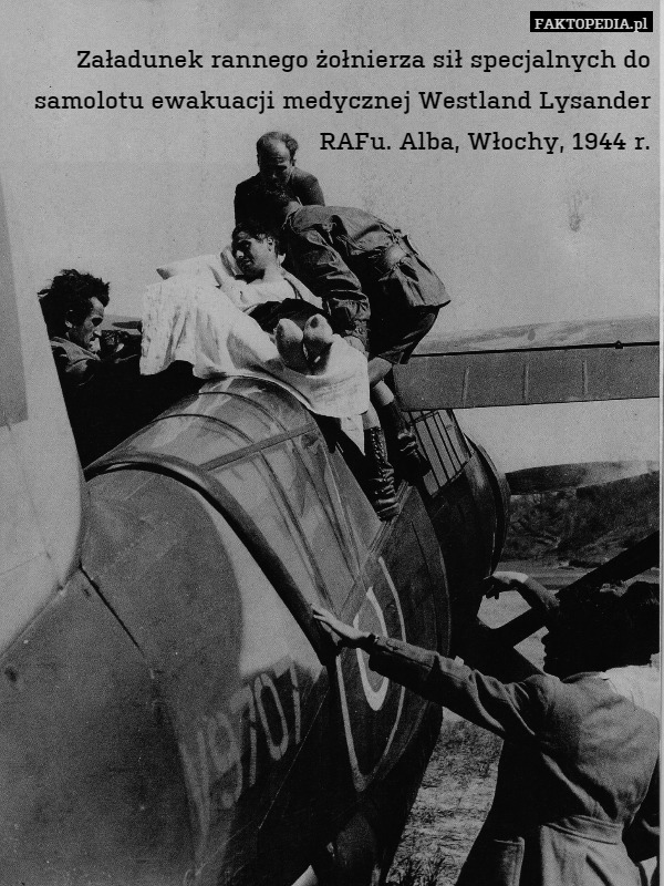Załadunek rannego żołnierza sił specjalnych do samolotu ewakuacji medycznej Westland Lysander RAFu. Alba, Włochy, 1944 r. 